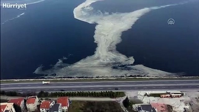 İzmit Körfezi'nde deniz salyası beyaz tabaka oluşturdu