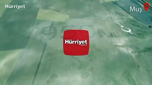 Malazgirt Zaferi'nin yıl dönümü dolayısıyla 41 bin metrekarelik alana traktörle 950. Yıl yazıldı