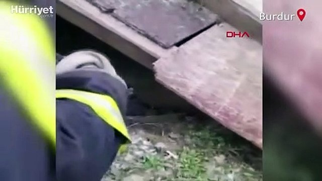 5 yavru köpek donmak üzereyken itfaiye tarafından kurtarıldı