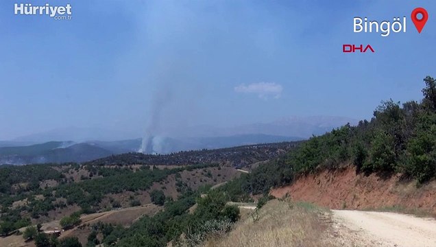 Bingöl Valiliği, 4 gün süren orman yangınının kontrol altına alındığını açıkladı