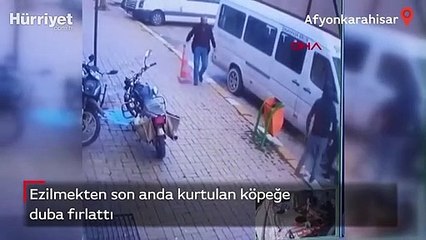 Ezilmekten son anda kurtulan köpeğe, duba fırlattı