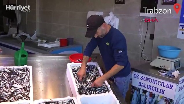 Karadeniz’de hamsi bolluğu