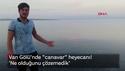 Van Gölü'nde "canavar" heyecanı! 'Ne olduğunu çözemedik'