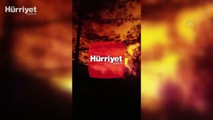 Muğla'da çıkan orman yangını kontrol altında