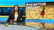 WION Climate Tracker Drought displaces over a thousand in Iraq
