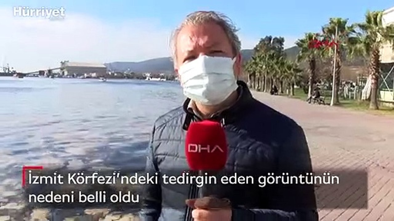İzmit Körfezi’ndeki görüntü tedirgin etmişti! Nedeni belli oldu
