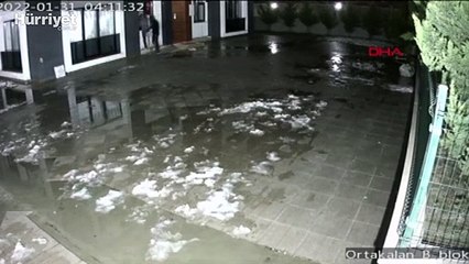 Dali maskeli hırsızlar ev sahibine yakalanınca kaçtı