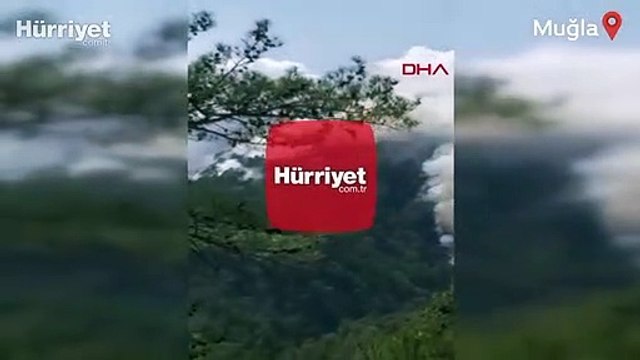 Muğla Köyceğiz'de orman yangını