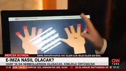 ABD’de oto yola çıkan deniz aslanı kurtarıldı