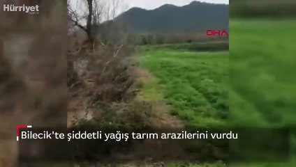 Bilecik'te şiddetli yağış tarım arazilerini vurdu