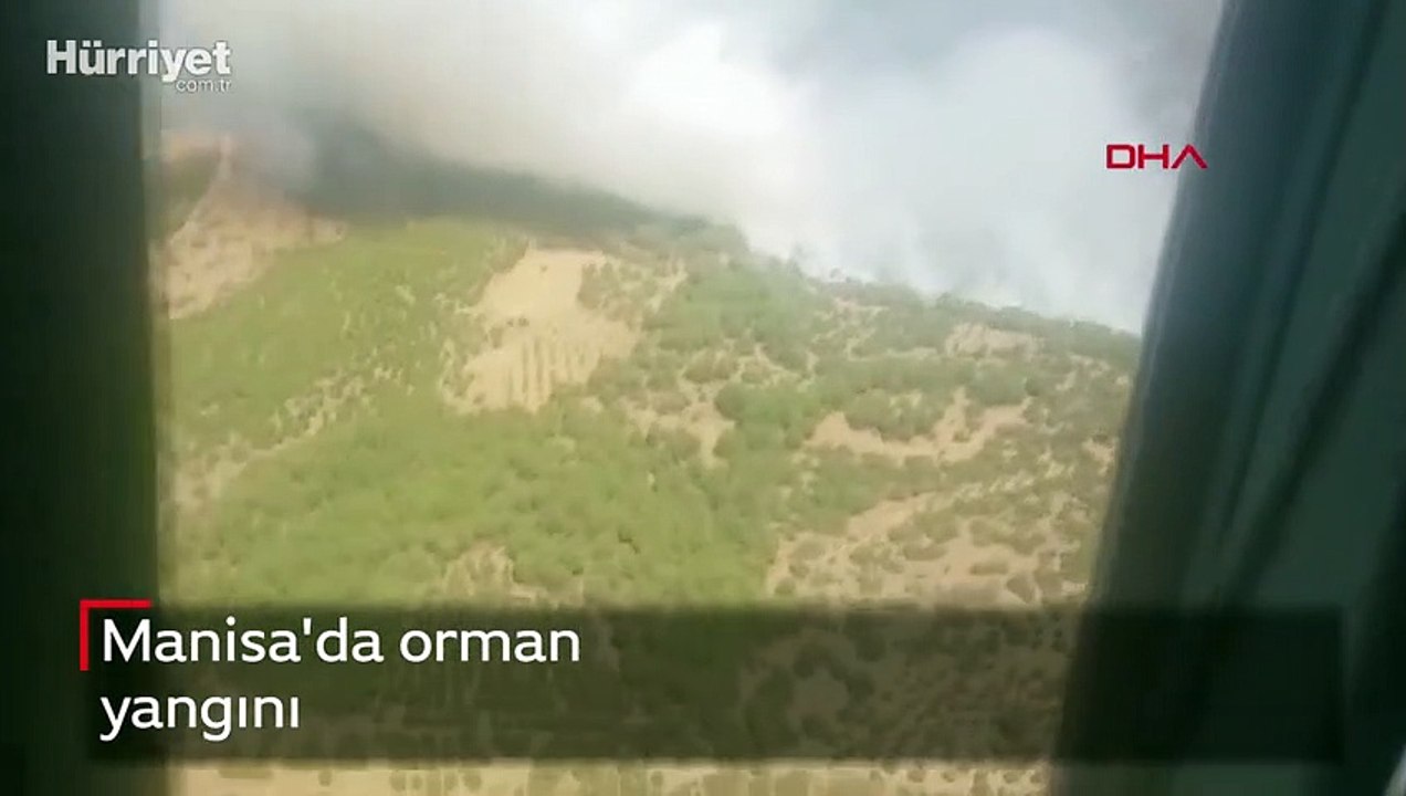 Manisa'da orman yangını 