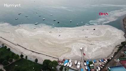 Fenerbahçe sahilinden çarpıcı müsilaj görüntüsü