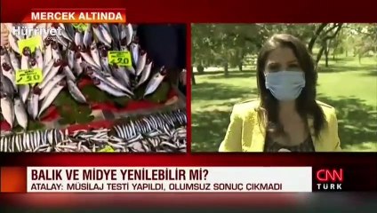 Müsilajlı denizden çıkan balık ve midye yenir mi?