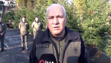 İstanbul'da yılbaşı öncesi kaçak ağaç kesimine yönelik denetim