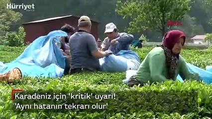 Karadeniz'e 'çay göçü' öncesi kritik 'vaka' uyarısı! 'Aynı hatanın tekrarı olur'