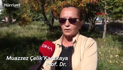 'Tuz Gölü'nü 30 yıla kadar kaybedebiliriz