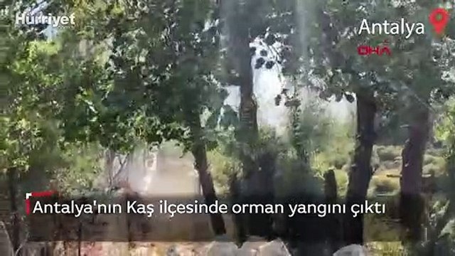 Kaş'ta ormanlık alanda yangın