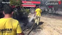 Ezine'de orman yangını