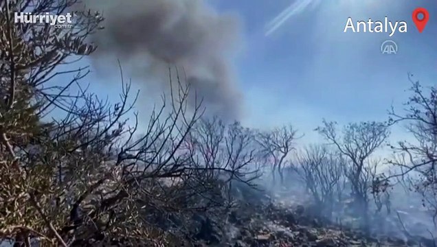 Antalya'da makilik alanda çıkan yangın kontrol altına alındı