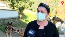 Sahibi vefat eden köpek mezarın başından ayrılmıyor