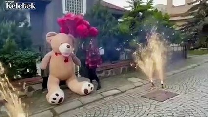 Seren Serengil'e evlilik teklifi