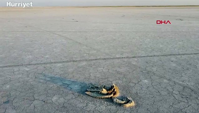 Tuz Gölü'nde flamingo ölümleri