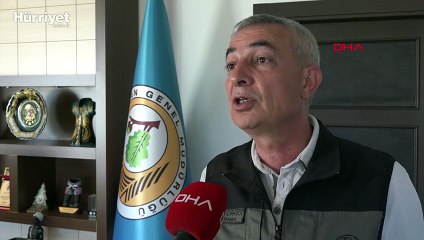 Manavgat'taki yangında dumanın ısıttığı yerler yanarak sürdü