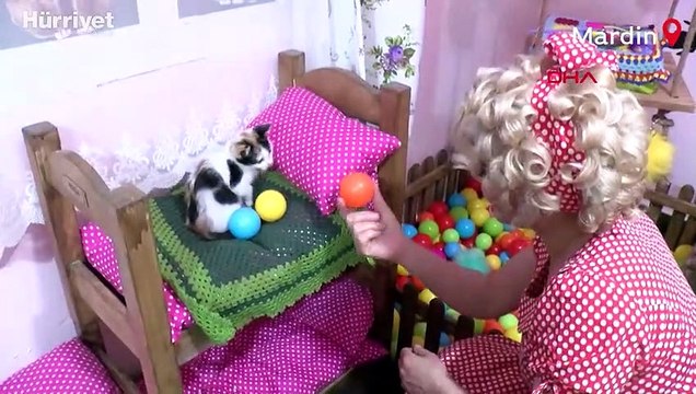 Mardinli Marilyn Monroe, kedi sığınma evi kurdu