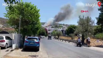 Bodrum Kumbahçe mahallesinde ormanlık alanda yangın