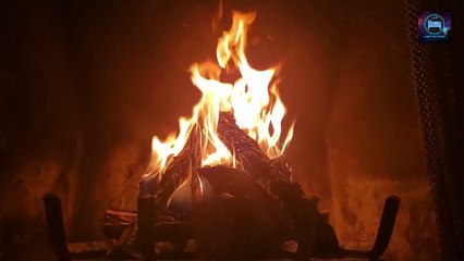 Try Furnace, You'll Like It | Any Time, Any Place, Furnace Sound Is The Best