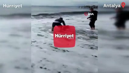 Sahile vuran yunus balığını böyle kurtardılar