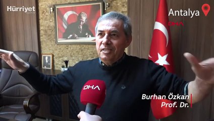 Profesörden uyarı: Denizanası çarpmasında tatlı su dökmeyin