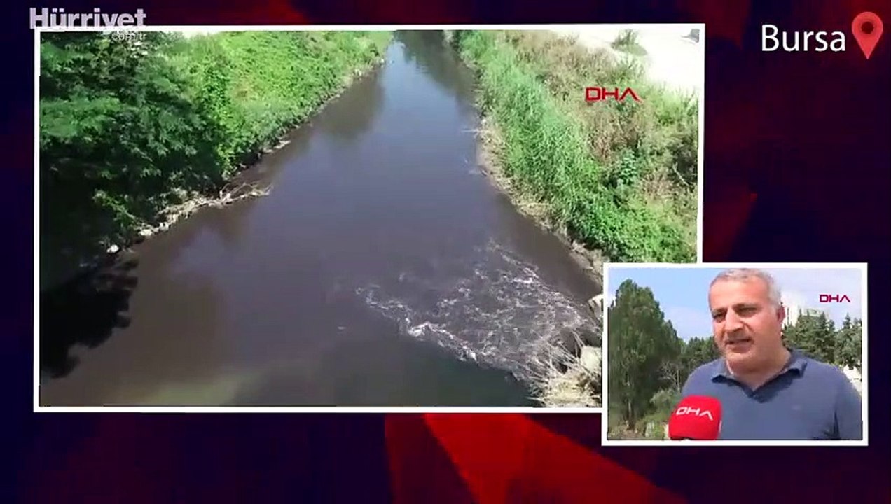 Nilüfer Çayı, atıklar nedeniyle siyaha büründü