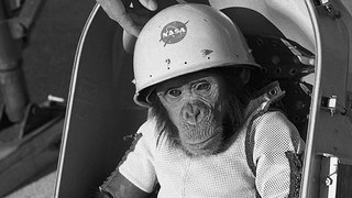Monkey in space | Gk video in hindi