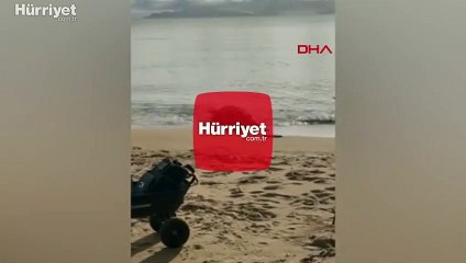 Avustralya'da dev timsahın köpek balığını yediği anlar görüntülendi
