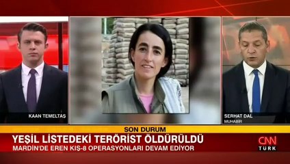 'Yeşil' kategoride aranan terörist etkisiz hale getirildi