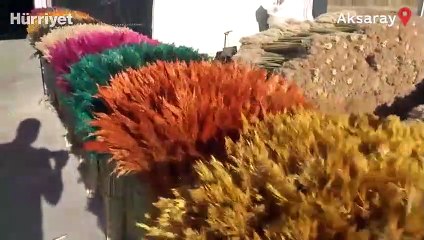 Yabani bitki ve dikenler, köy kadınlarının geçim kaynağı oldu