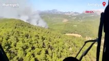 Antalya'nın Serik ilçesinde orman yangını