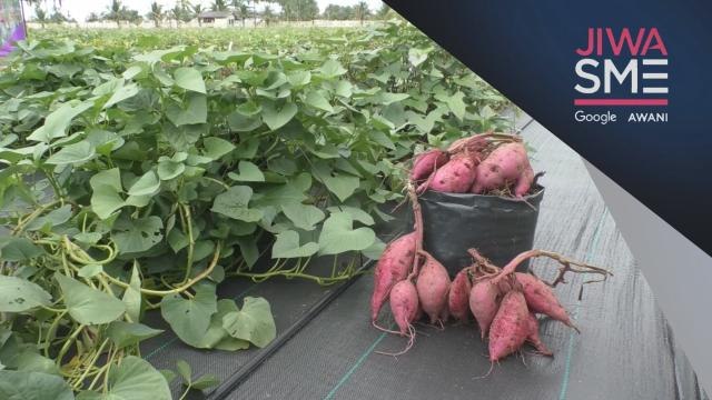 Jiwa SME | Pemasaran digital lonjak jualan input pertanian