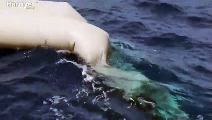 BM, Libya açıklarında son birkaç günde 172 düzensiz göçmenin ölmüş olabileceğini bildirdi