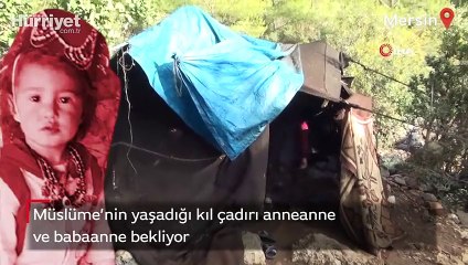 Müslüme Yağal’ın yaşadığı kıl çadırı anneanne ve babaanne bekliyor