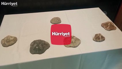 2 milyon yaşında olduğu değerlendirilen 6 deniz yıldızı fosili ele geçirildi