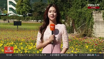 [날씨] 한낮 완연한 가을…내륙 중심 큰 일교차