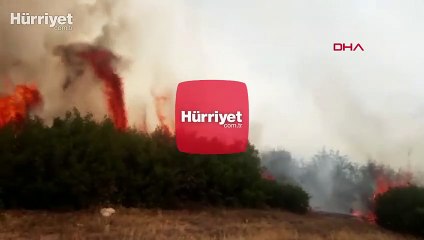 Manisa Kula'da orman yangını