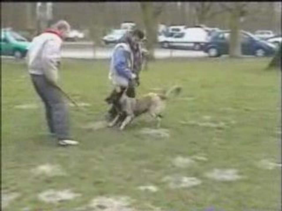 Balthus défense du maître N° 02