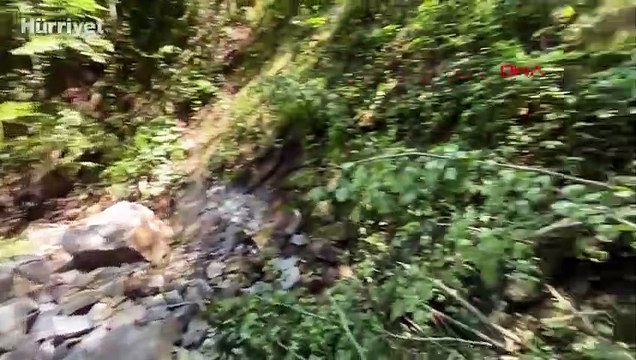 Bartın'da keşfedilen şelale turizme kazandırılacak