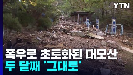 산사태에도 두 달째 방치 중인 대모산..."추가 피해 우려" / YTN