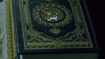Surah Yasin with Translation
