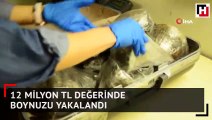 12 milyon TL değerinde gergedan boynuzu yakalandı