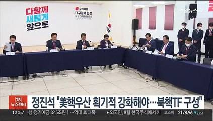 정진석 "美핵우산 획기적 강화해야…북핵대응TF 구성"